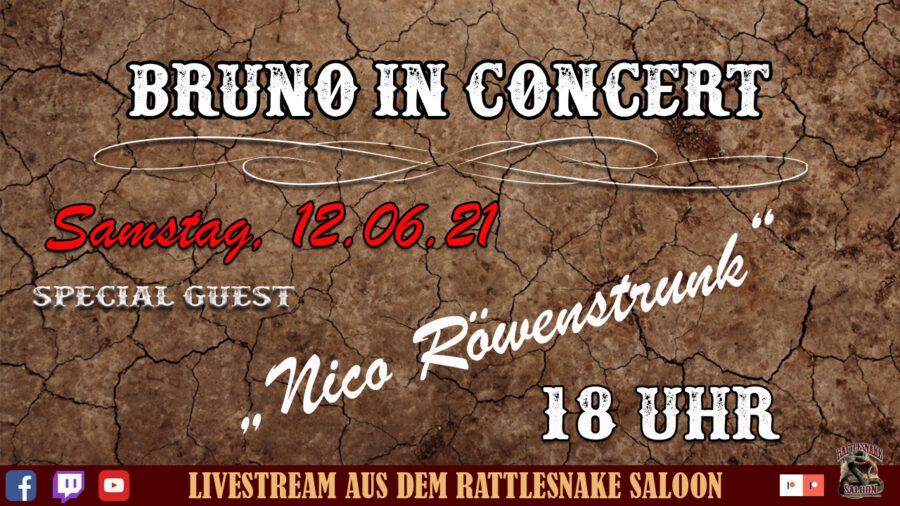 Bruno in Concert Nico 3