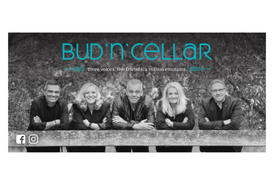 Bud´n´Cellar