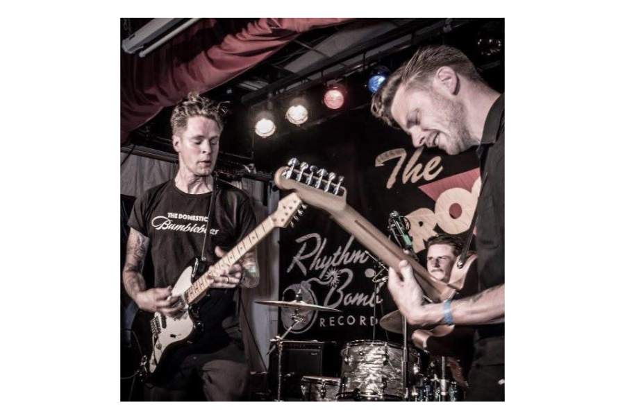 Domestic Bumblebees (SWE)